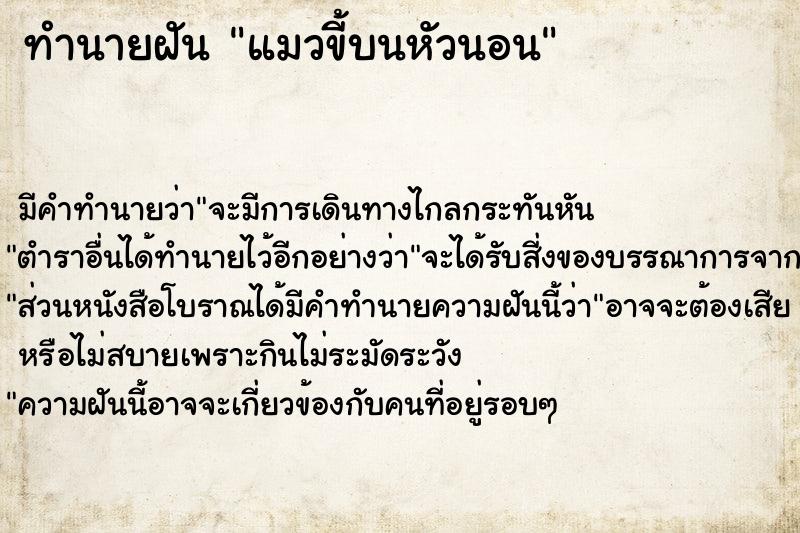 ทำนายฝัน แมวขี้บนหัวนอน ตำราโบราณ แม่นที่สุดในโลก