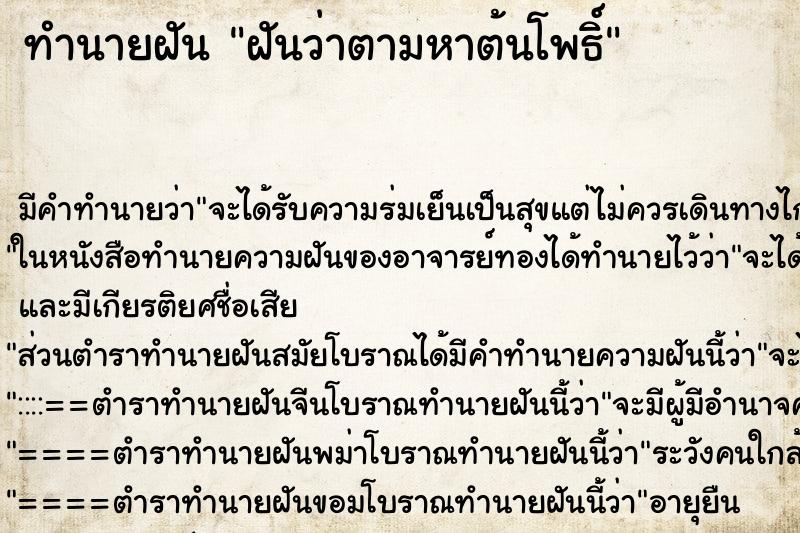 ทำนายฝันฝันว่าตามหาต้นโพธิ์ ทำนายฝันทำนายฝันฝันว่าตามหาต้นโพธิ์