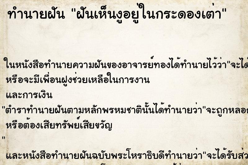 ทำนายฝันฝันเห็นงูอยู่ในกระดองเต่า ทำนายฝันทำนายฝันฝันเห็นงูอยู่ในกระดองเต่า