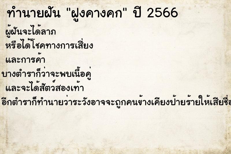 ทำนายฝันทำนายฝันฝูงคางคก