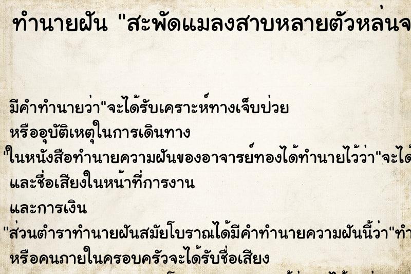 ทำนายฝันทำนายฝันสะพัดแมลงสาบหลายตัวหล่นจากกระโปรง