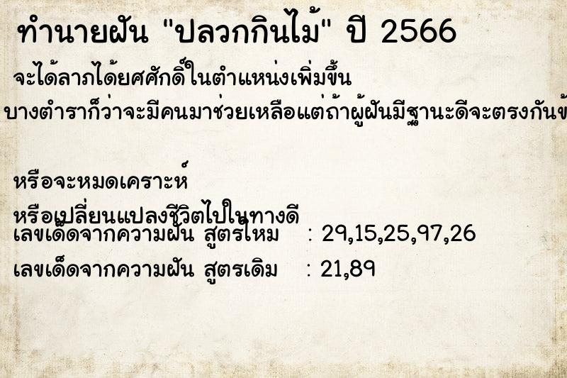 ทำนายฝัน ปลวกกินไม้