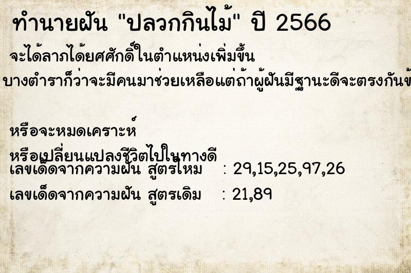 ทำนายฝัน ปลวกกินไม้ ตำราโบราณ แม่นที่สุดในโลก