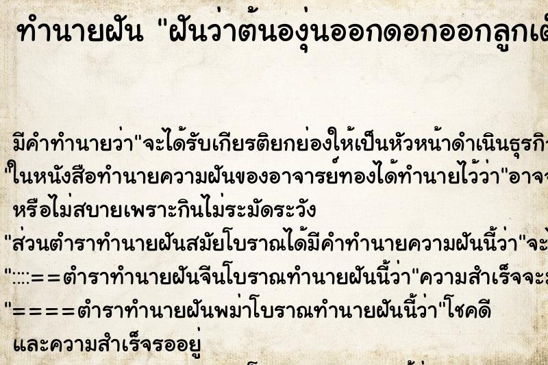 ทำนายฝัน ฝันว่าต้นองุ่นออกดอกออกลูกเต็มต้น ทำนายฝัน ฝันว่าต้นองุ่นออกดอกออกลูกเต็มต้น