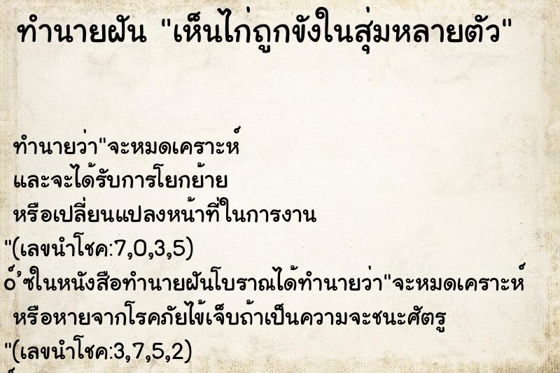 ทำนายฝันทำนายฝันเห็นไก่ถูกขังในสุ่มหลายตัว