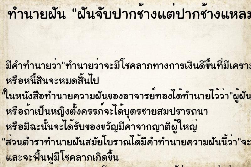 ทำนายฝันฝันจับปากช้างแต่ปากช้างแหลม ทำนายฝันทำนายฝันฝันจับปากช้างแต่ปากช้างแหลม