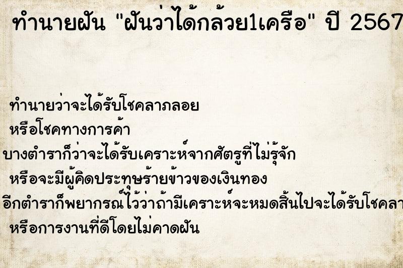 ทำนายฝันฝันว่าได้กล้วย1เครือ ทำนายฝันทำนายฝันฝันว่าได้กล้วย1เครือ