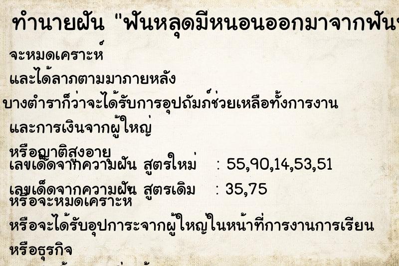 ทำนายฝันทำนายฝันฟันหลุดมีหนอนออกมาจากฟันฟันหลุดมีหนอนออกมาจากฟัน