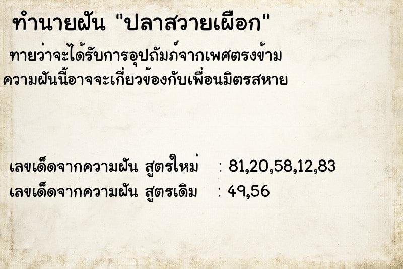 ทำนายฝันทำนายฝันปลาสวายเผือก