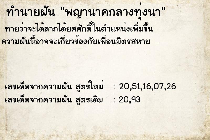 ทำนายฝันพญานาคกลางทุ่งนา ทำนายฝันทำนายฝันพญานาคกลางทุ่งนา