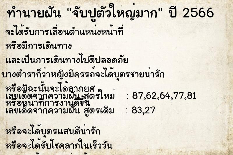 ทำนายฝัน จับปูตัวใหญ่มาก ทำนายฝัน จับปูตัวใหญ่มาก