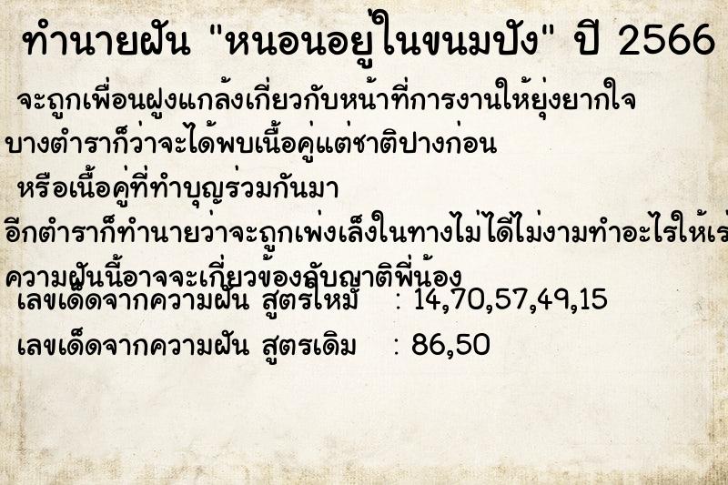 ทำนายฝันหนอนอยู่ในขนมปัง ทำนายฝันทำนายฝันหนอนอยู่ในขนมปัง