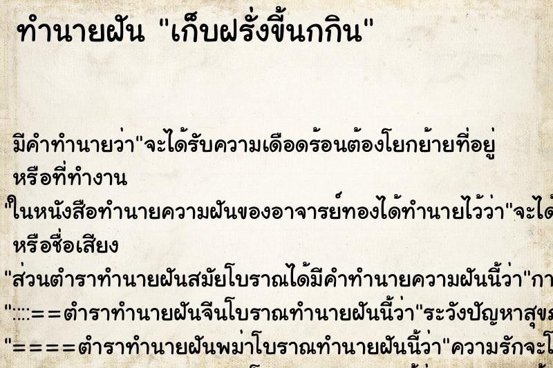 ทำนายฝัน เก็บฝรั่งขี้นกกิน ทำนายฝัน เก็บฝรั่งขี้นกกิน