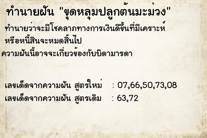 ทำนายฝันทำนายฝันขุดหลุมปลูกต้นมะม่วง