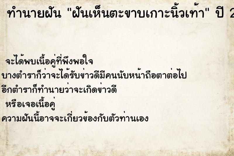 ทำนายฝันทำนายฝันฝันเห็นตะขาบเกาะนิ้วเท้า