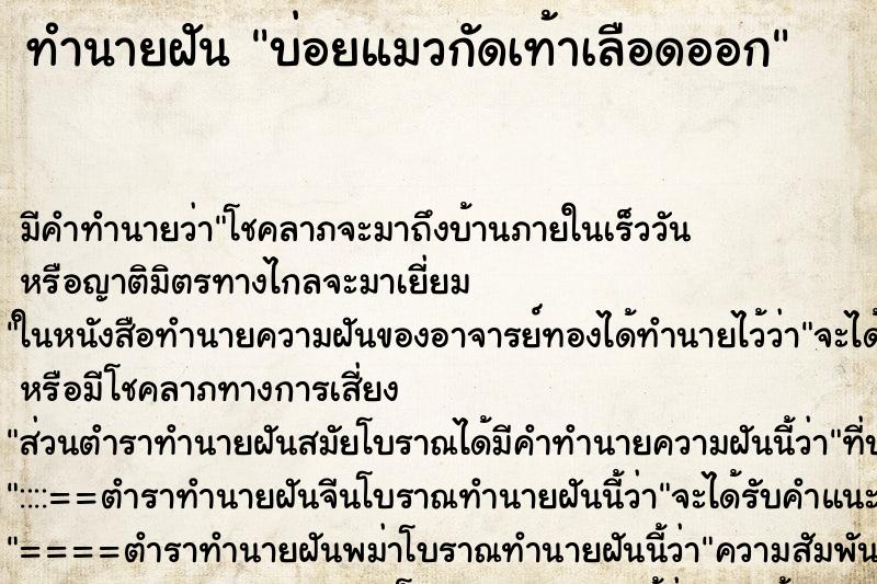 ทำนายฝันบ่อยแมวกัดเท้าเลือดออก ทำนายฝันทำนายฝันบ่อยแมวกัดเท้าเลือดออก