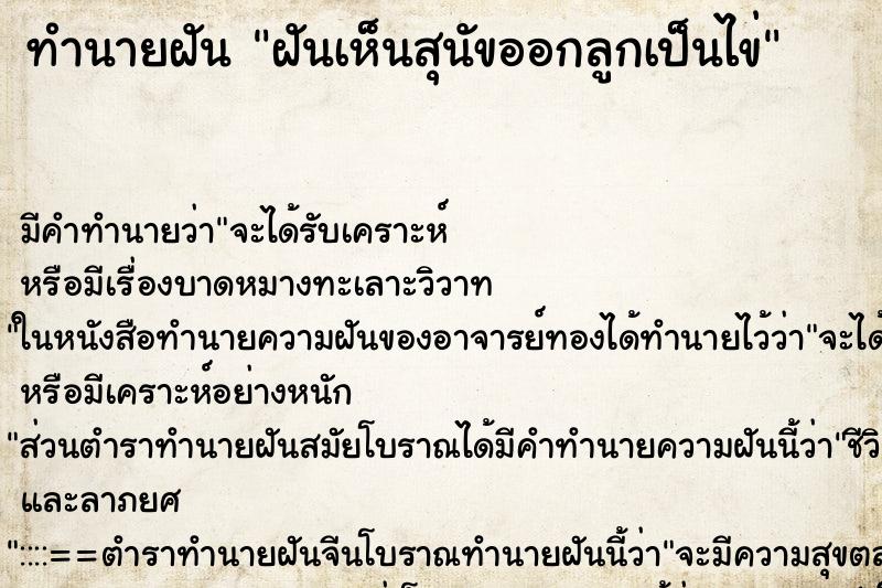 ทำนายฝัน ฝันเห็นสุนัขออกลูกเป็นไข่