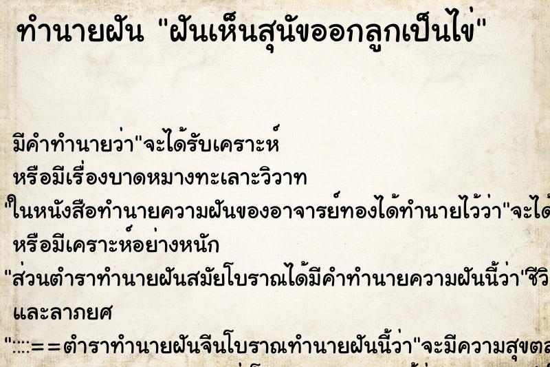 ทำนายฝัน ฝันเห็นสุนัขออกลูกเป็นไข่ ตำราโบราณ แม่นที่สุดในโลก