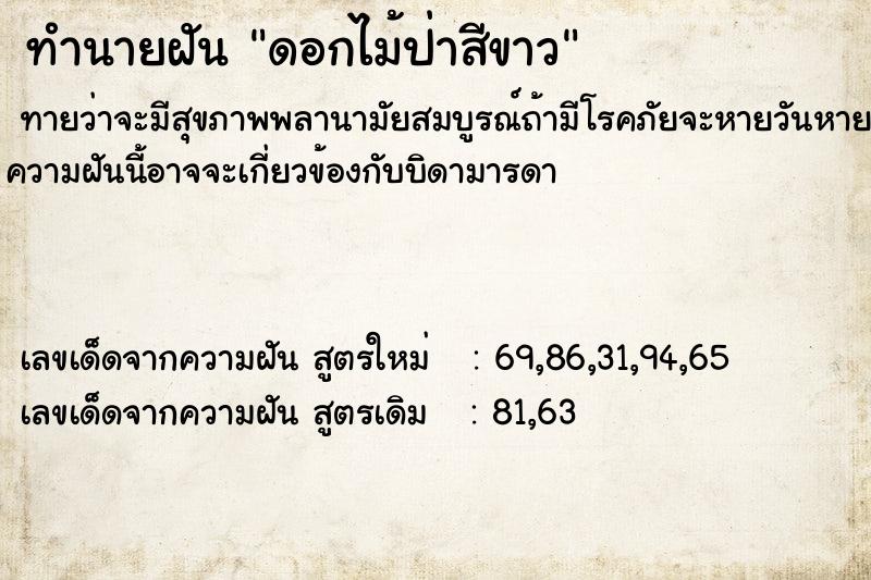 ทำนายฝัน ดอกไม้ป่าสีขาว ทำนายฝัน ดอกไม้ป่าสีขาว