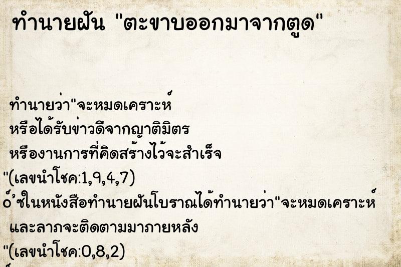 ทำนายฝันตะขาบออกมาจากตูด ทำนายฝันทำนายฝันตะขาบออกมาจากตูด