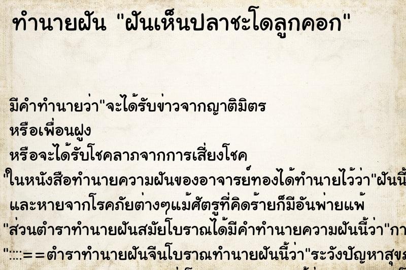 ทำนายฝัน ฝันเห็นปลาชะโดลูกคอก ทำนายฝัน ฝันเห็นปลาชะโดลูกคอก