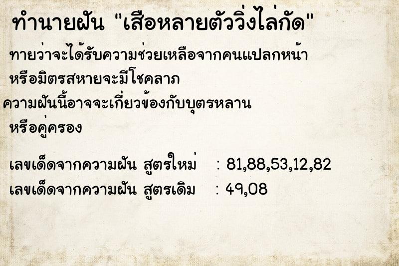 ทำนายฝันเสือหลายตัววิ่งไล่กัด ทำนายฝันทำนายฝันเสือหลายตัววิ่งไล่กัด