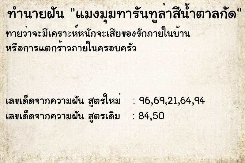 ทำนายฝัน แมงมุมทารันทูล่าสีน้ำตาลกัด ทำนายฝัน แมงมุมทารันทูล่าสีน้ำตาลกัด