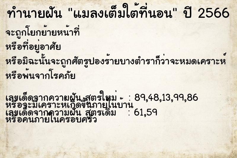 ทำนายฝัน แมลงเต็มใต้ที่นอน