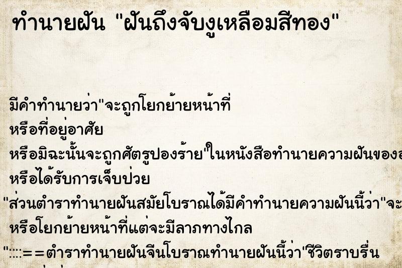 ทำนายฝันฝันถึงจับงูเหลือมสีทอง ทำนายฝันทำนายฝันฝันถึงจับงูเหลือมสีทอง