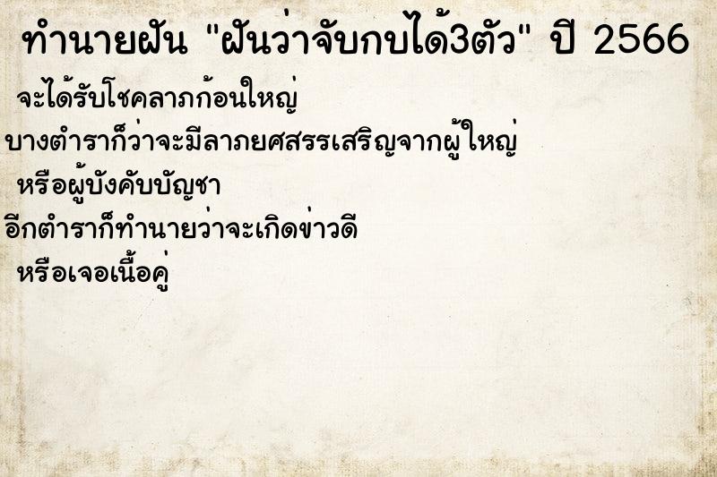 ทำนายฝันฝันว่าจับกบได้3ตัว ทำนายฝันทำนายฝันฝันว่าจับกบได้3ตัว