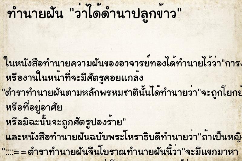 ทำนายฝันว่าได้ดำนาปลูกข้าว ทำนายฝันทำนายฝันว่าได้ดำนาปลูกข้าว