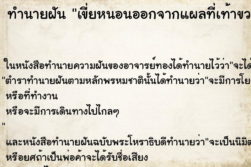 ทำนายฝันเขี่ยหนอนออกจากแผลที่เท้าขวา ทำนายฝันทำนายฝันเขี่ยหนอนออกจากแผลที่เท้าขวา