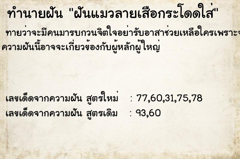 ทำนายฝันฝันแมวลายเสือกระโดดใส่ ทำนายฝันทำนายฝันฝันแมวลายเสือกระโดดใส่