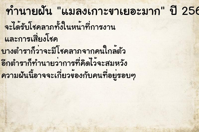 ทำนายฝันทำนายฝันแมลงเกาะขาเยอะมาก