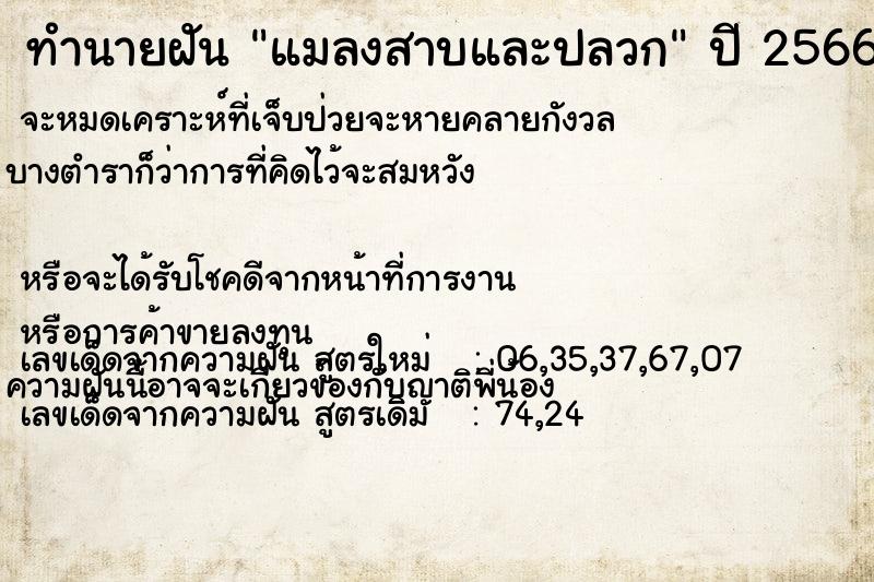 ทำนายฝันแมลงสาบและปลวก ทำนายฝันทำนายฝันแมลงสาบและปลวก