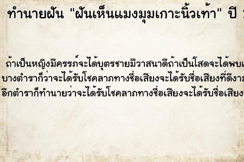 ทำนายฝันทำนายฝันฝันเห็นแมงมุมเกาะนิ้วเท้า