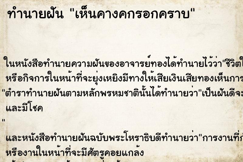 ทำนายฝันเห็นคางคกรอกคราบ ทำนายฝันทำนายฝันเห็นคางคกรอกคราบ