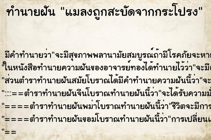 ทำนายฝันแมลงถูกสะบัดจากกระโปรง ทำนายฝันทำนายฝันแมลงถูกสะบัดจากกระโปรง