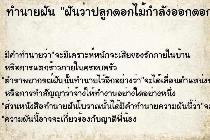 ทำนายฝันทำนายฝันฝันว่าปลูกดอกไม้กำลังออกดอกสวยงามมาก