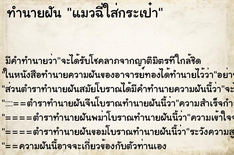 ทำนายฝัน แมวฉี่ใส่กระเป๋า ทำนายฝัน แมวฉี่ใส่กระเป๋า