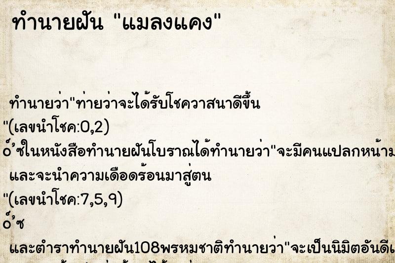 ทำนายฝันทำนายฝันแมลงแคง