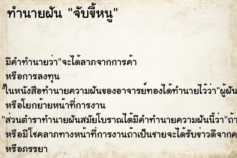 ทำนายฝันทำนายฝันจับขี้หนู