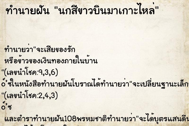 ทำนายฝัน นกสีขาวบินมาเกาะไหล่ ทำนายฝัน นกสีขาวบินมาเกาะไหล่