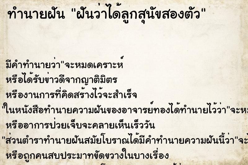 ทำนายฝัน ฝัันว่าได้ลูกสุนัขสองตัว ทำนายฝัน ฝัันว่าได้ลูกสุนัขสองตัว