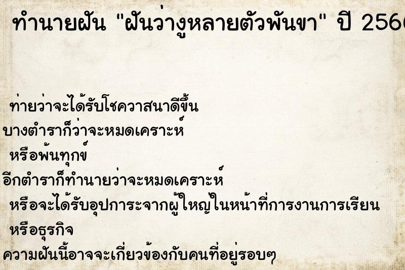 ทำนายฝันฝันว่างูหลายตัวพันขา ทำนายฝันทำนายฝันฝันว่างูหลายตัวพันขา