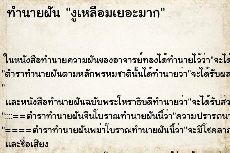 ทำนายฝันงูเหลือมเยอะมาก ทำนายฝันทำนายฝันงูเหลือมเยอะมาก