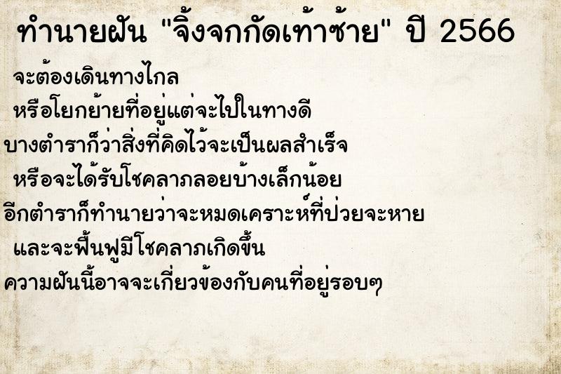 ทำนายฝันจิ้งจกกัดเท้าซ้าย ทำนายฝันทำนายฝันจิ้งจกกัดเท้าซ้าย