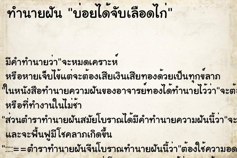 ทำนายฝันบ่อยได้จับเลือดไก่ ทำนายฝันทำนายฝันบ่อยได้จับเลือดไก่