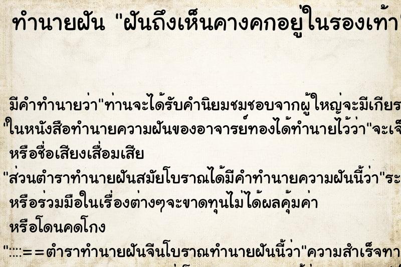 ทำนายฝันฝันถึงเห็นคางคกอยู่ในรองเท้า ทำนายฝันทำนายฝันฝันถึงเห็นคางคกอยู่ในรองเท้า