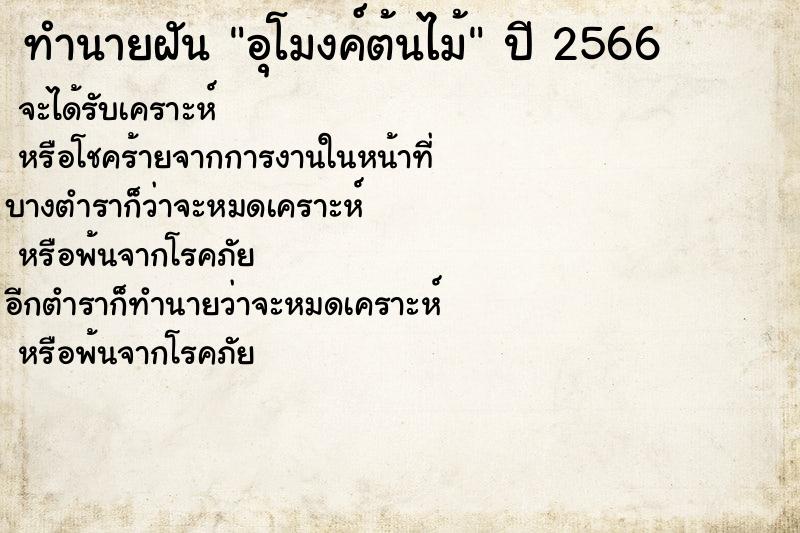 ทำนายฝันอุโมงค์ต้นไม้ ทำนายฝันทำนายฝันอุโมงค์ต้นไม้